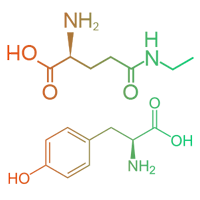 Theanine-Tyrosine-Ingredient