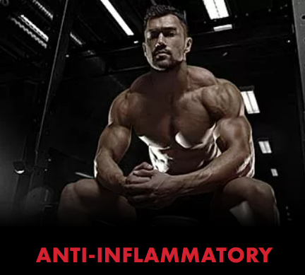Anti Inflammatory