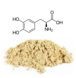 Mucuna Pruriens Extract