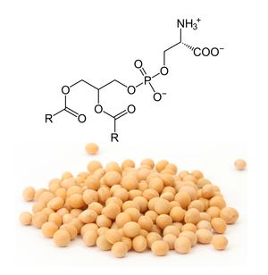 Phosphatidylserine