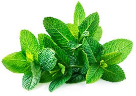 Menthol